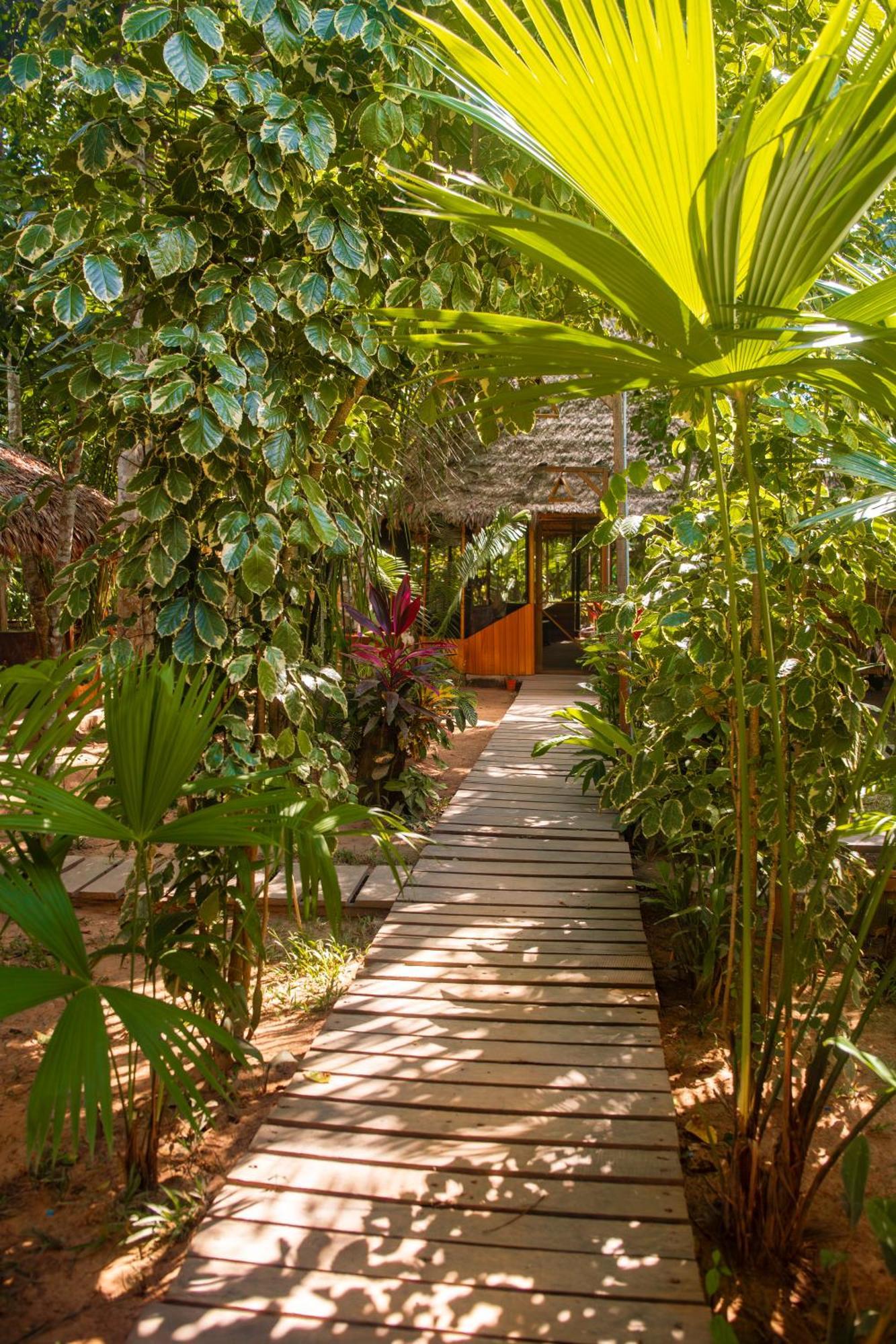 Hotel Tronco Tambopata Adventure Puerto Maldonado Exteriér fotografie