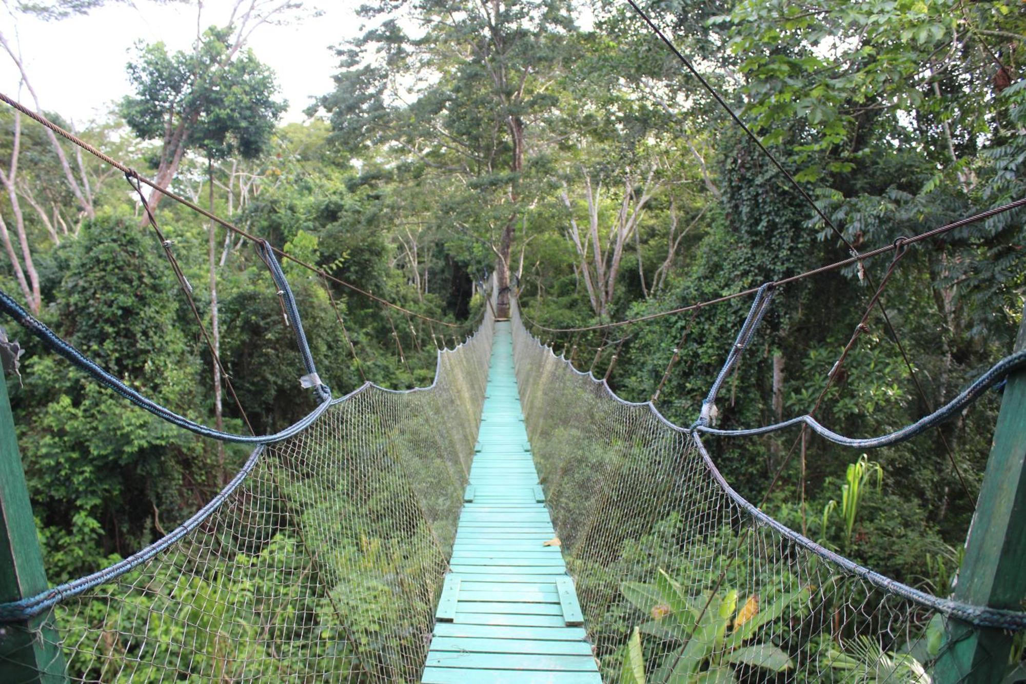 Hotel Tronco Tambopata Adventure Puerto Maldonado Exteriér fotografie