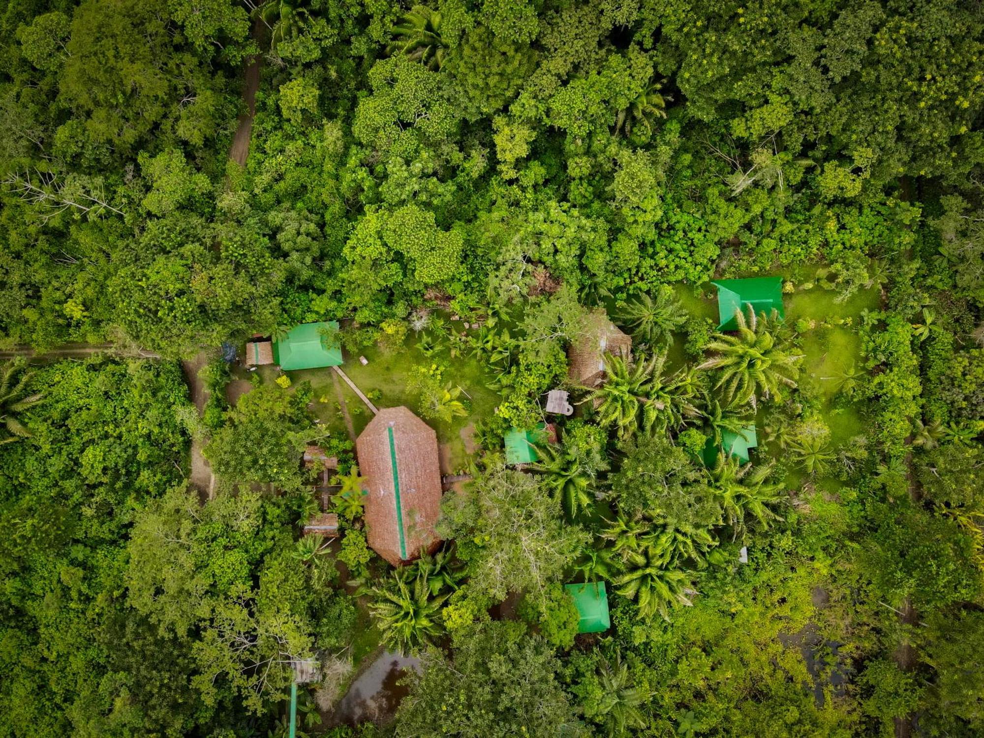 Hotel Tronco Tambopata Adventure Puerto Maldonado Exteriér fotografie